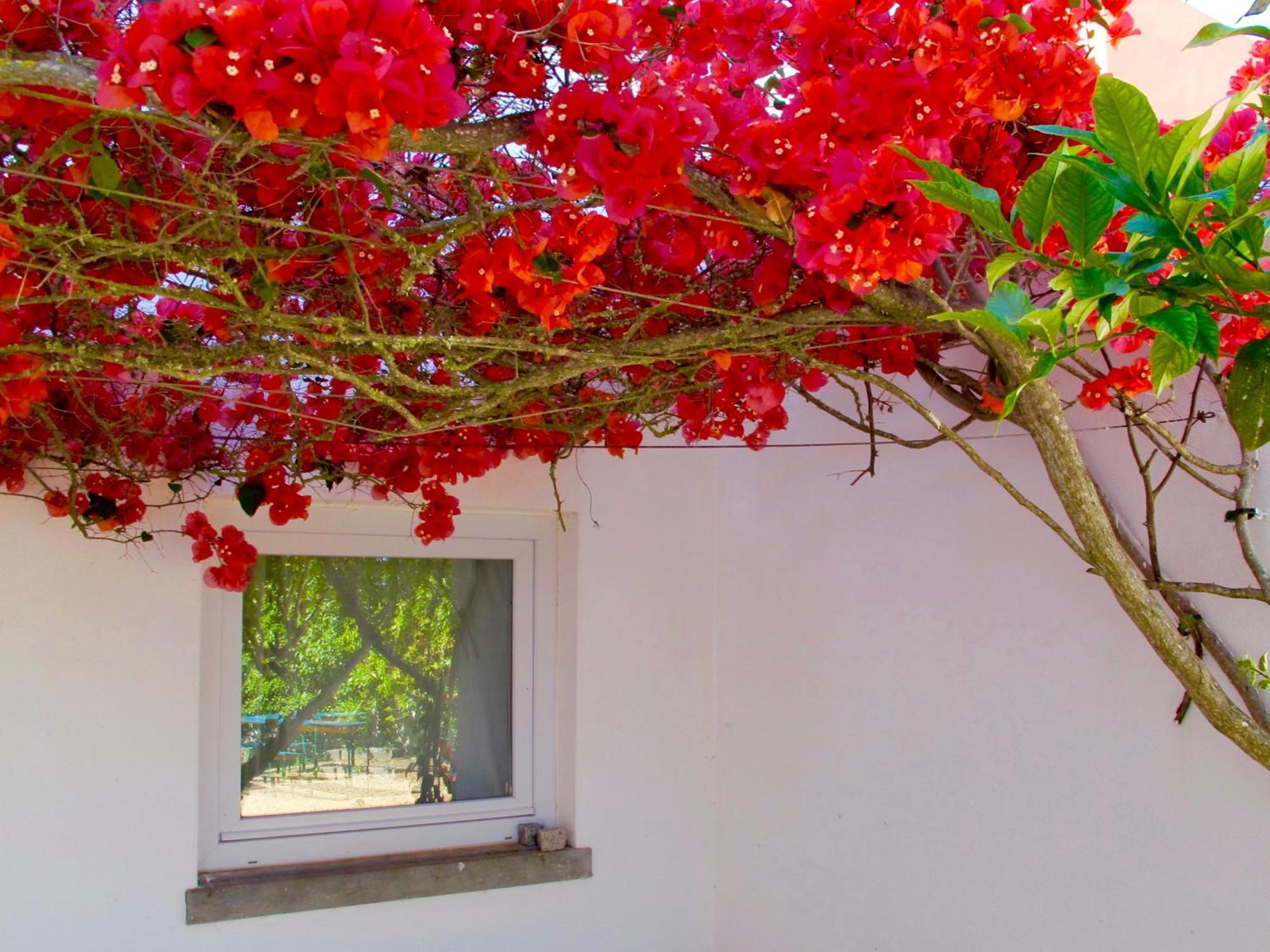Seaya Villas Cascais Rom bilde